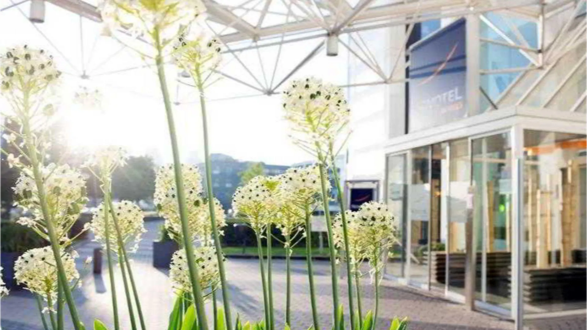 Novotel Rotterdam Brainpark Hotel